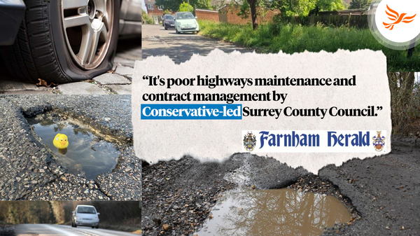 Pothole Crisis Petition