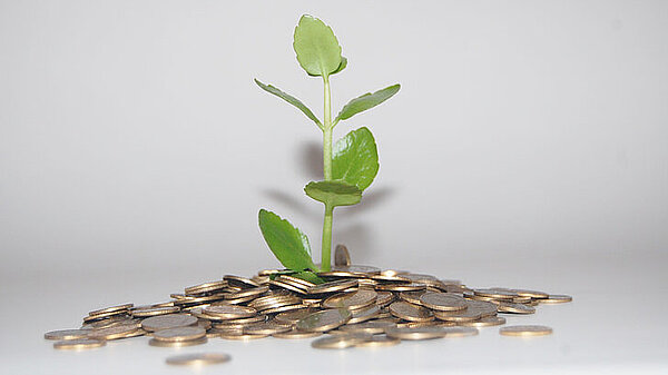 Plant growing out of coins - a regular donation helps us grow