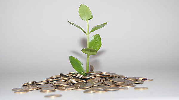 Plant growing out of coins