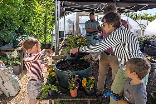 Farnham in Bloom