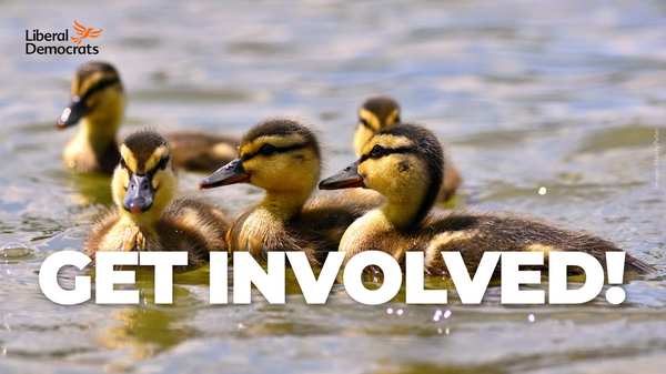 Get Involved