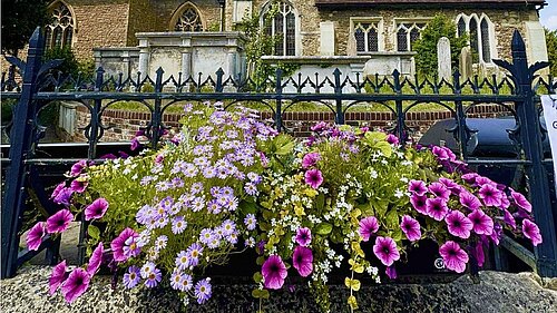 Godalming in Bloom